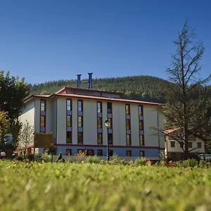 Balneario Nº 01224 Hotel Areatza